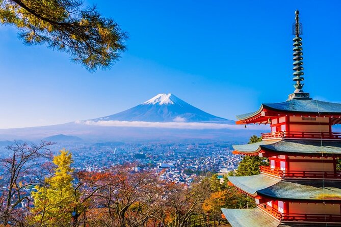 Mt Fuji Private Day Trip from Tokyo with English speaking driver - Key highlights you’ll actually feel on the day