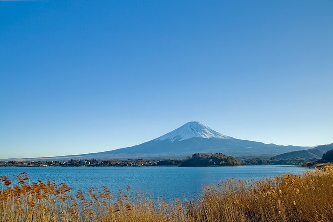 Mt Fuji Private Day Trip from Tokyo with English speaking driver - Why a private English-speaking driver makes the Fuji day worth it