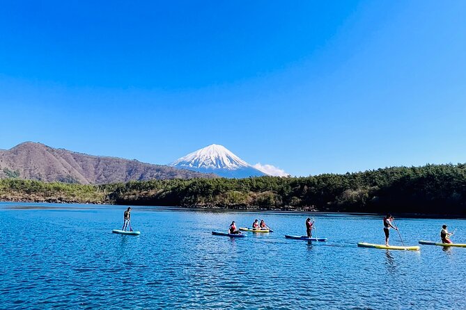 Mt Fuji Private Day Trip from Tokyo with English speaking driver - Ropeway reality check: great views, but ticket is extra