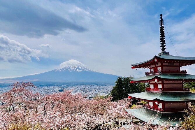 Mt Fuji Private Day Trip from Tokyo with English speaking driver - Mt Fuji 5th station: worth it, but not guaranteed
