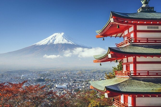 Mt. Fuji Private Tour by Car with Pick-up from Tokyo - Key highlights worth caring about