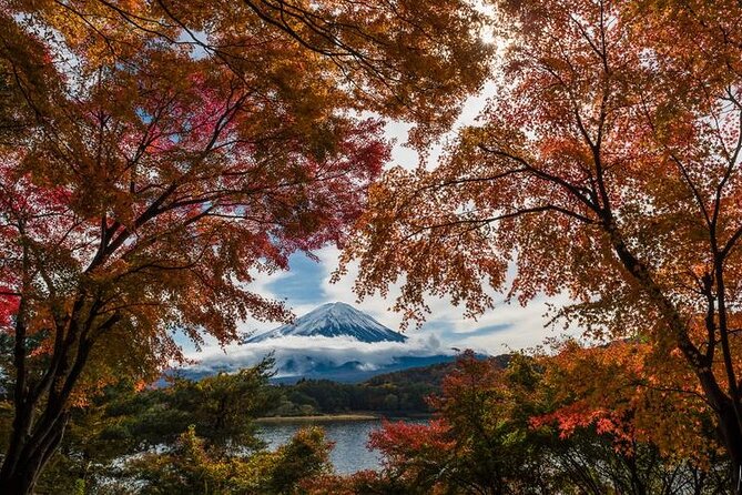 Mt. Fuji Private Tour by Car with Pick-up from Tokyo - Chureito Pagoda and Arakura Sengen Shrine, the classic viewpoint stop