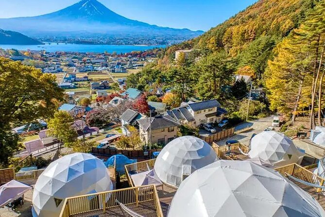 Mt. Fuji Private Tour by Car with Pick-up from Tokyo - Tokyo pickup, group size, and what you really get for the price