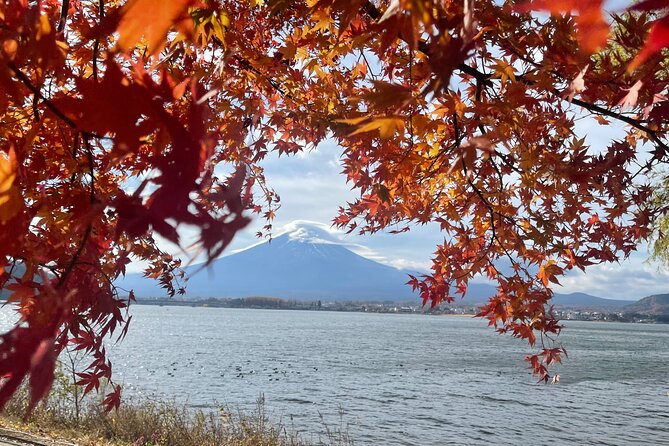 Mt. Fuji Private Tour with English Speaking Driver - Stop 1: Mt. Fuji Subaru Line 5th Station, the 2200m payoff