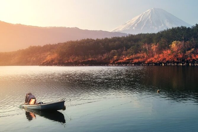 Mt. Fuji Private Tour with English Speaking Driver - Stop 2: Arakurayama Sengen Park, stairs, shrines, and Chureito pagoda views