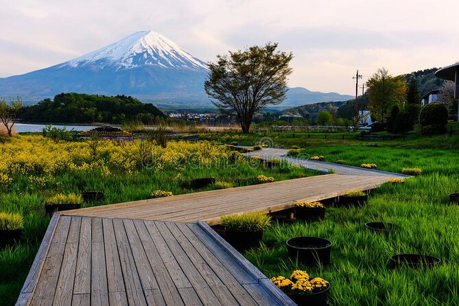 Mt. Fuji Private Tour with English Speaking Driver - Stop 4: Oishi Park flower seasons and the jam-and-berry break