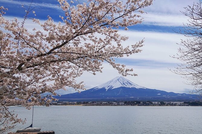Mt. Fuji Private Tour with English Speaking Driver - Stop 5: Oshino Hakkai springs, heritage water, and the Diamond Fuji idea