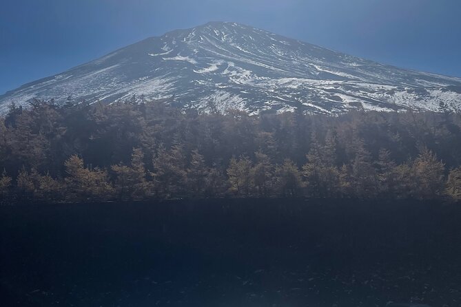Mt. Fuji Private Tour with English Speaking Driver - Optional Stop 6: Gotemba Premium Outlets for a last-hour reset
