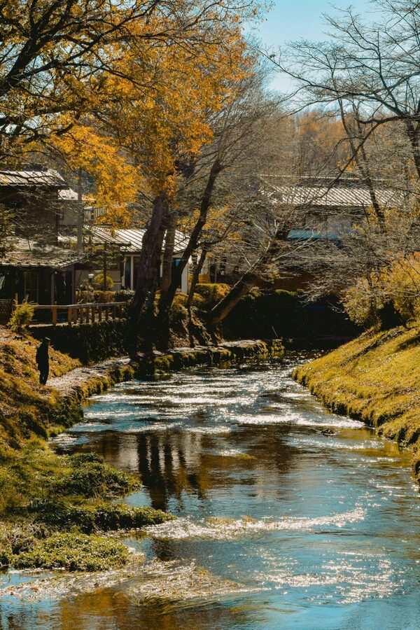 Mt. Fuji Private Tour With Hotel Pick Up From Tokyo - Price and what you still need to budget