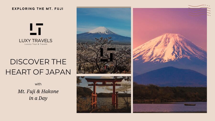 Mt Fuji Sightseeing Private tour with English Speaking Guide - Private Tokyo pickup and why it feels like a cheat code