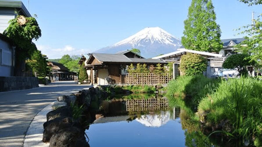 Mt Fuji Sightseeing Private tour with English Speaking Guide - Hakone Shrine in the forest: calm after the crater heat
