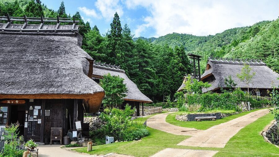 Mt Fuji Sightseeing Private tour with English Speaking Guide - Aokigahara Forest walk: short, and take it at your pace
