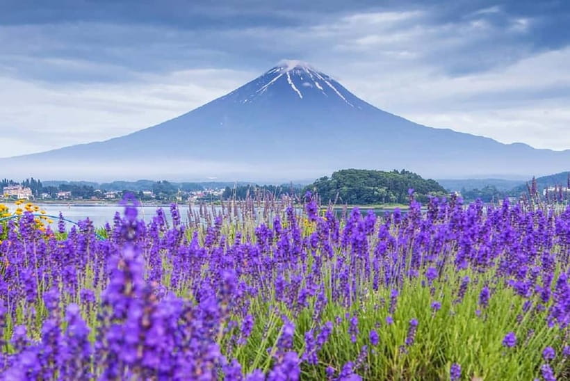 Mt Fuji Top 5 Spots Day Tour: Arakurayama Park,Oshino Hakkai - Mount Fuji Top 5 Spots: Why This Day Trip Feels Worth It