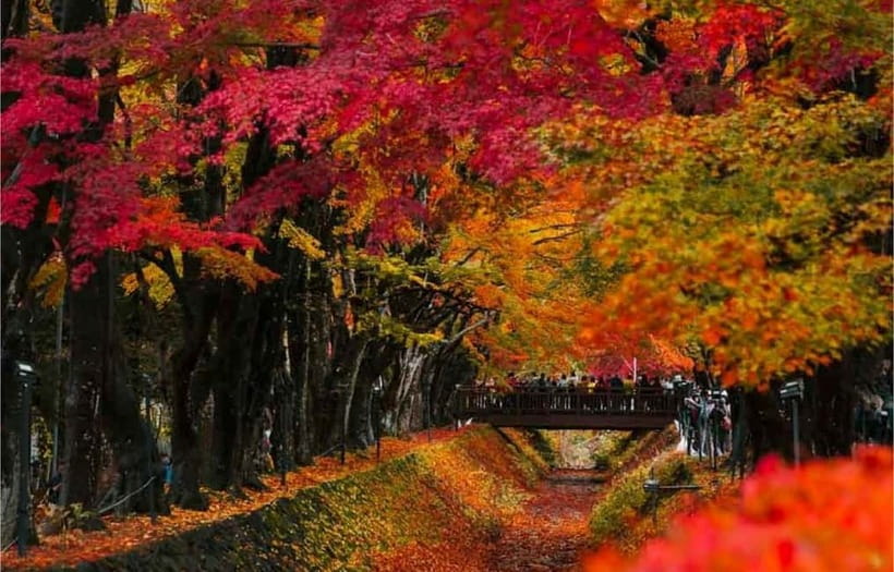 Mt Fuji Top 5 Spots Day Tour: Arakurayama Park,Oshino Hakkai - Lawson by Kawaguchiko Station: One Photo Stop, Real Safety Advice