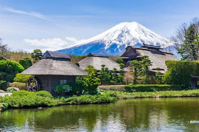 Mt Fuji Top 5 Spots Day Tour: Arakurayama Park,Oshino Hakkai - Lunch Is On You: How to Make the Meal Break Actually Work