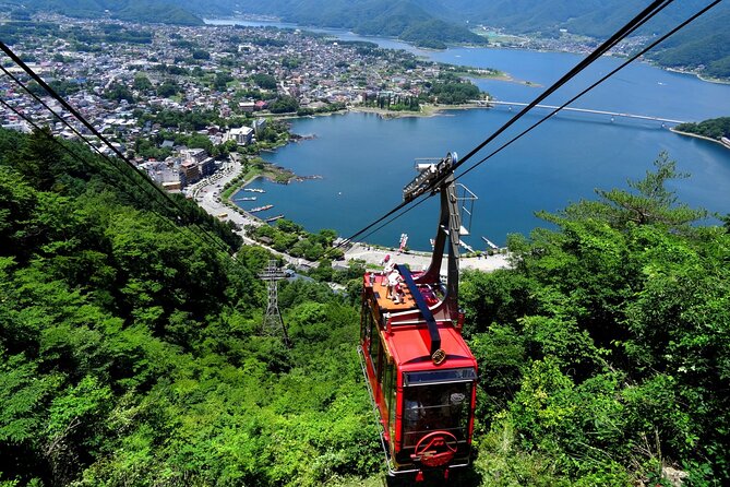 Mt. Fuji Tours with Kawaguchi Lake Ropeway View English Speaking - Oishi Park at Lake Kawaguchi, a quick reset and seasonal beauty