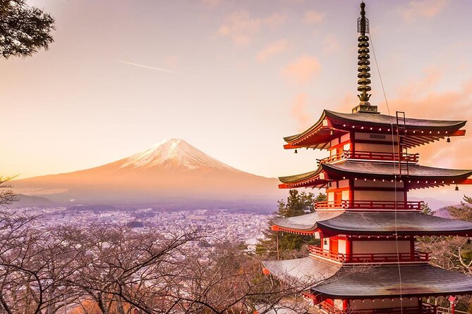 Mt. Fuji Tours with Kawaguchi Lake Ropeway View English Speaking - Kachikachi Mountain Cable Car, when Mt Fuji is hiding, this still pays off