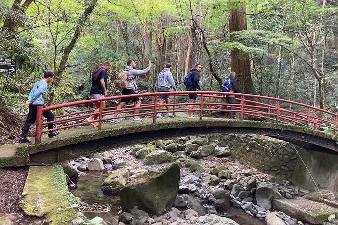 Mt. Inunaki Trekking and Goma Prayer Experience in Osaka - Key highlights to know before you go