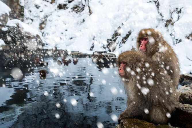 Nagano Ski Buffet - Key Takeaways Before You Book