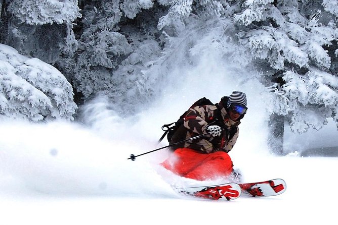 Nagano Ski Buffet - Nagano Powder Skiing, With a Cultural Schedule That Actually Makes Sense