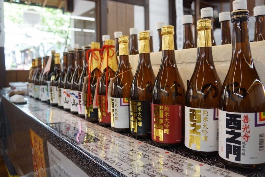 Nagano: Snow Monkeys, Zenkoji Temple & Sake Day Trip - How the timing and transportation shape your day
