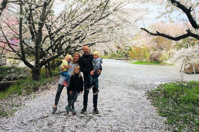 Nagano Spring: 1-Day Cherry Blossoms & Snow Monkeys Guided Tour - Hanami in northern Nagano: blossom chasing that adapts