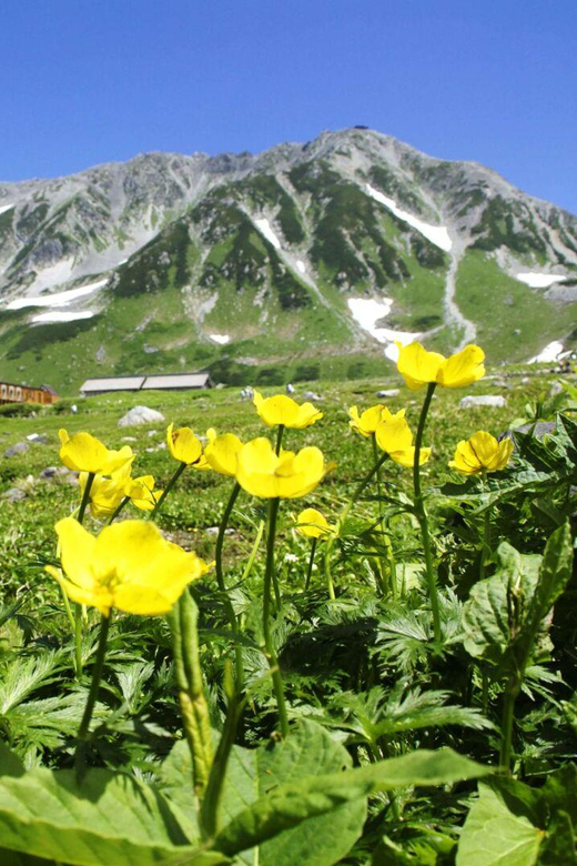 Nagano: Tateyama-Kurobe Guided Walking Tour - Gondola Time and Why It Feels Like Part of a System