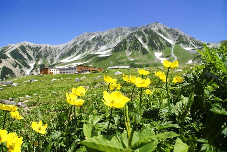 Nagano: Tateyama-Kurobe Guided Walking Tour - Nagano Check-In: Where to Meet and What to Do First