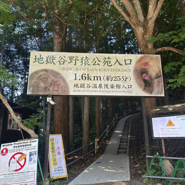 Nagano/Tokyo: Snow Monkey Private Day Tour At Lowest Rate - Why this private Nagano tour feels easier than planning on your own