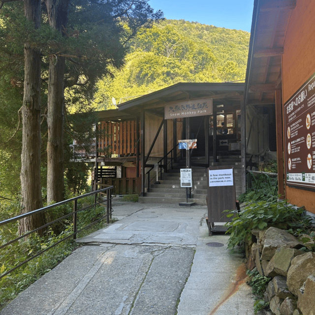 Nagano/Tokyo: Snow Monkey Private Day Tour At Lowest Rate - Jigokudani Snow Monkey Park: the walk, the cold, and the payoff