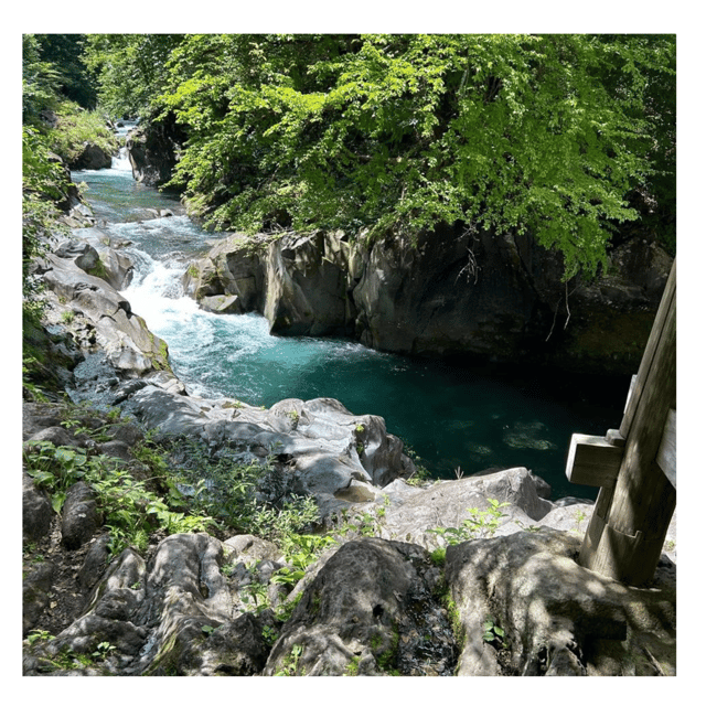 Nagano/Tokyo: Snow Monkey Private Day Tour At Lowest Rate - Shibu Onsen: a quick onsen-town breather between wildlife and temples