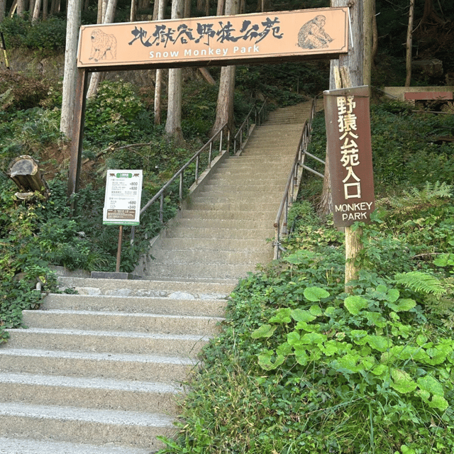 Nagano/Tokyo: Snow Monkey Private Day Tour At Lowest Rate - Tokyo to Nagano: what the commute really means for your day