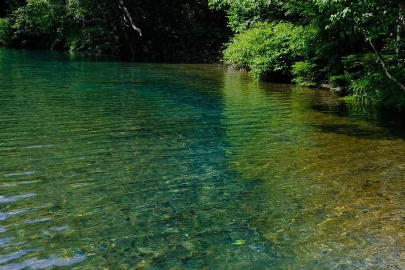 Nagano UNESCO Park: Emerald Acid Lake & Ghibli Onsen Town - Onuma Pond or an alternate route: how the experience stays strong when conditions shift