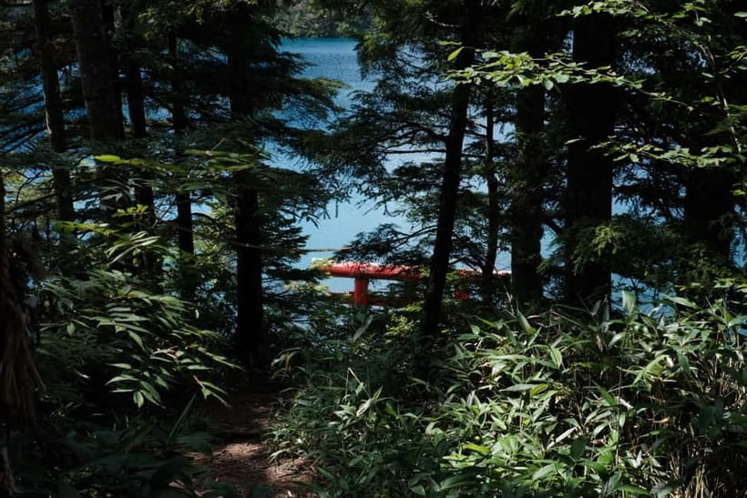 Nagano UNESCO Park: Emerald Acid Lake & Ghibli Onsen Town - Price and value: what $190 buys for a 9-hour private day
