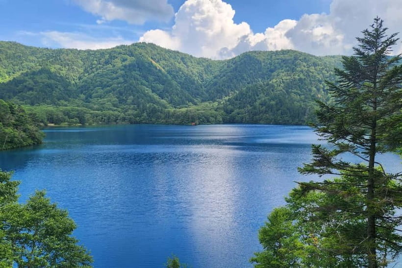 Nagano UNESCO Park: Emerald Acid Lake & Ghibli Onsen Town - The morning hike toward the emerald water: timing, what to watch for, and wildlife chances
