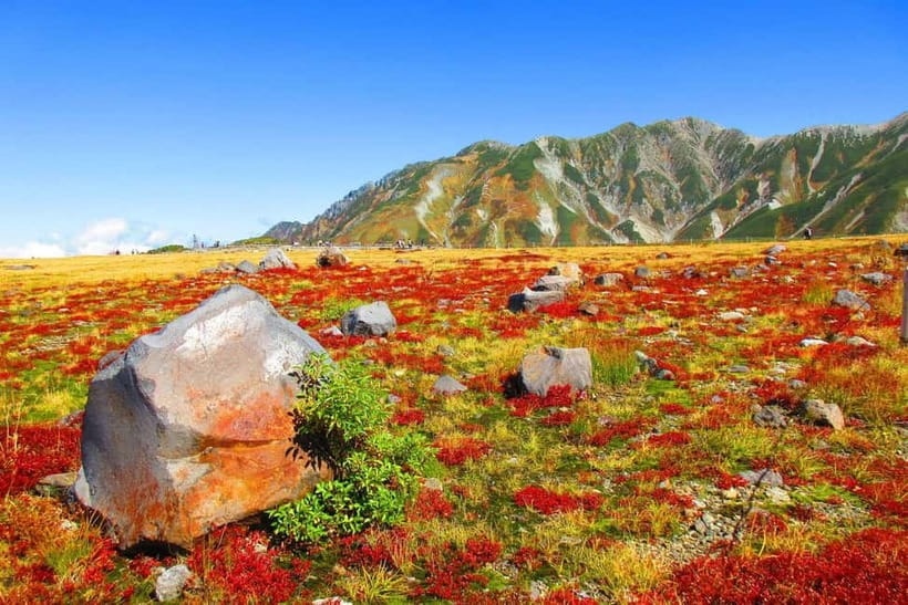 Nagano: World’s Edge Tateyama Kurobe Alpine Route Tour - Why Murodo feels like Japan’s roofline