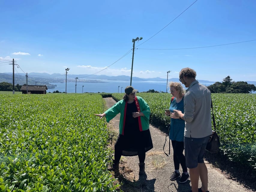 Nagasaki: Explore Japanese Teas on a Tea Tour - Key highlights you will remember
