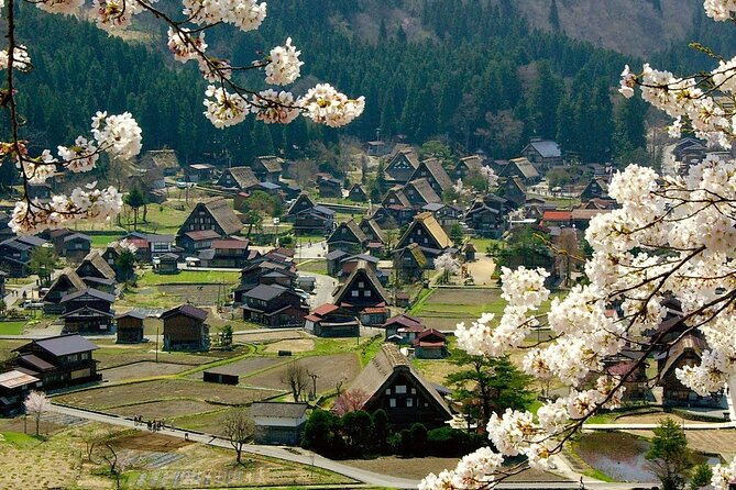 Nagoya: 2026 Hida Takayama Shirakawa-go Light-up Winter Tour - Shirakawa-go: gassho farmhouses and the views that matter