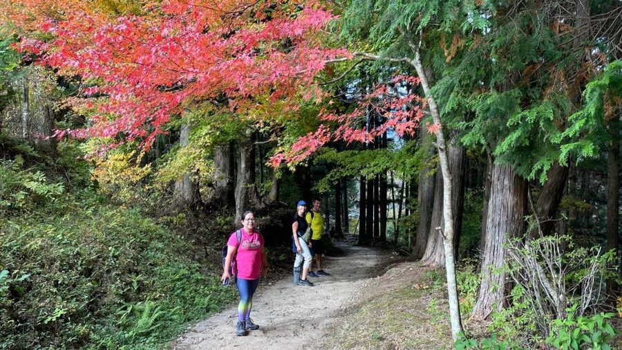 Nagoya: Full-day Kisoji Nakaendo Trail Tour - The Nakasendo Trail segment: 3.3 km that feels time-warped