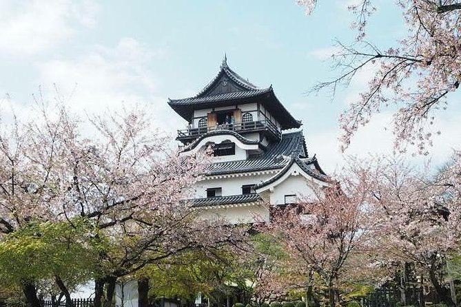 Nagoya Full-day Private Custom Tour with National Licensed Guide - How this private Nagoya walk really works