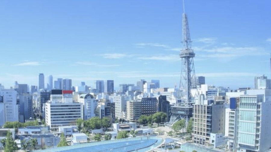Nagoya Private Custom Tour with Local Guide - Value Check: Is $91 Per Person a Good Deal?