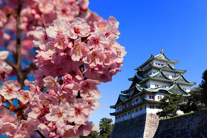Nagoya Private Tour with a Local: Highlights & Hidden Gems - How a Questionnaire Turns Into a Day in Nagoya
