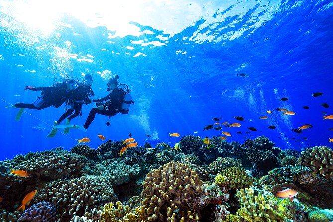 Naha: Full-Day Introductory diving & Snorkeling in the Kerama Islands, Okinawa - Snorkeling Time at Multiple Kerama Spots, Plus Optional Extra Scuba