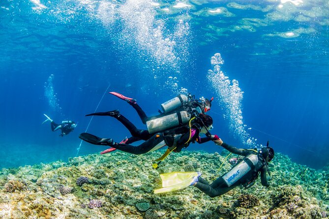 Naha: Full-Day Introductory diving & Snorkeling in the Kerama Islands, Okinawa - Price of $72.48: What You Get for the Money