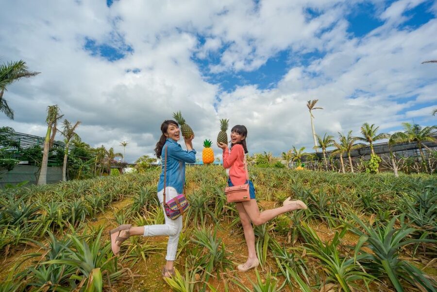 Naha: North Okinawa Sightseeing Tour & Churaumi Aquarium - North Okinawa, packed into one efficient bus day