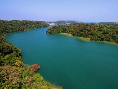 Naha: North Okinawa Sightseeing Tour & Churaumi Aquarium