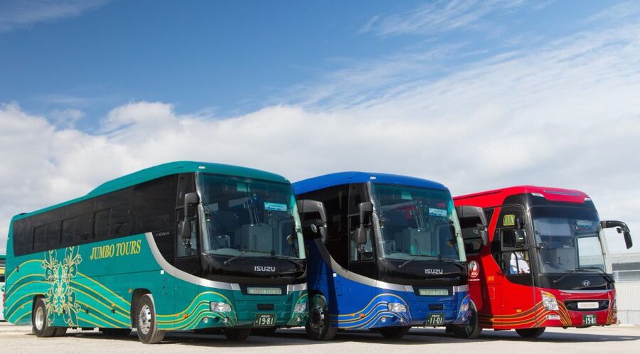 Naha: North Okinawa Sightseeing Tour & Churaumi Aquarium - Kouri Island via Kouri Bridge: fast views, quick photos, real sea air
