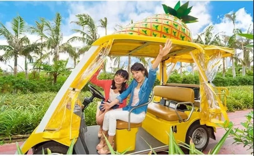 Naha: North Okinawa Sightseeing Tour & Churaumi Aquarium - Should you book Naha North Okinawa Sightseeing Tour plus Churaumi Aquarium?