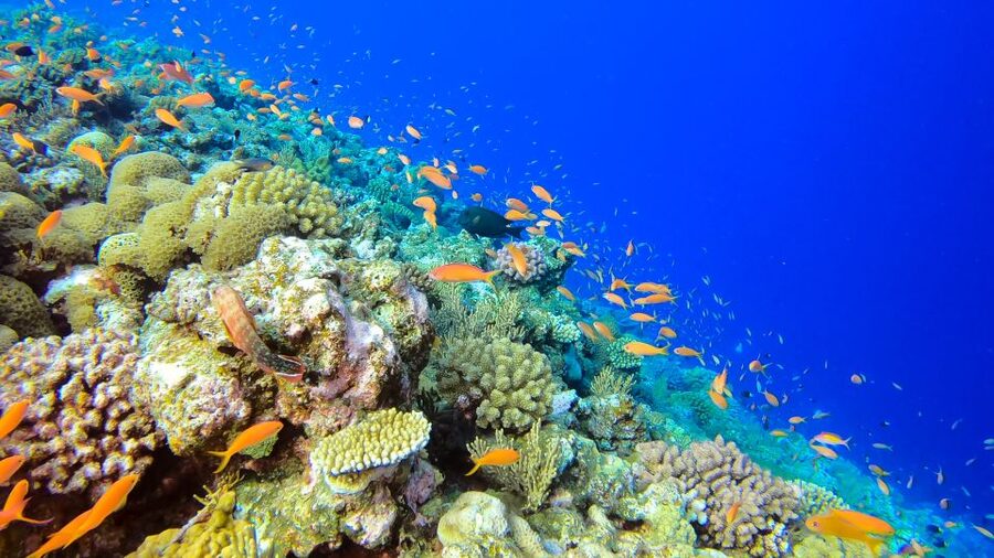 Naha, Okinawa: Kerama Islands Full-Day Intro-Diving Trip - Boat comforts in Okinawa, especially after you’re in the water