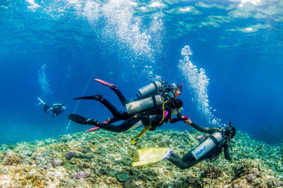 Naha, Okinawa: Kerama Islands Full-Day Intro-Diving Trip - Marine life chances: corals, schools of fish, and possible turtles
